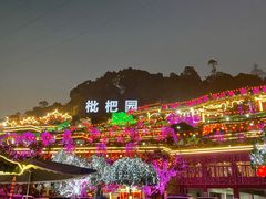 -枇杷园食为鲜火锅(南山店)