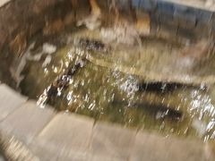 -井水小厨·湘菜(活力广场店)
