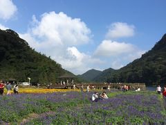 -广州市石门国家森林公园