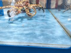 -麦德龙(浦东店)