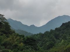 -雁南飞茶田景区