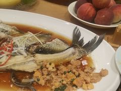 -丹江渔村(望京店)