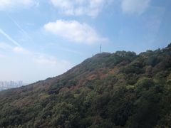 -紫金山山顶公园