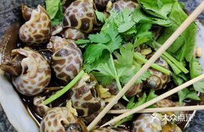 Mustard-Marinated Flower Snail