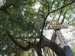 -蟹山公园