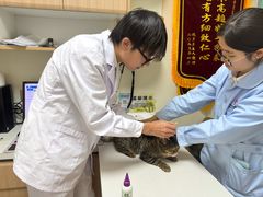 -全心全意连锁动物医院·特色中医诊疗(会城门分院)