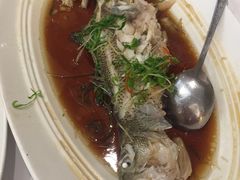 清蒸鲈鱼-眉州东坡(春秀路店)