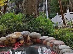-地中海传奇水汇