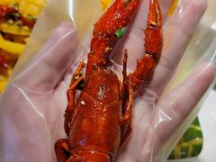 -肥肥虾庄·金牌油焖大虾(沙湖店)