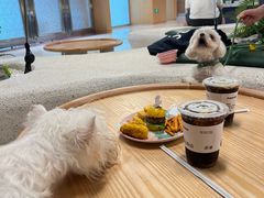 -帕帕拉兹宠物(亚洲旗舰店)