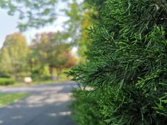 -合肥三国新城遗址公园