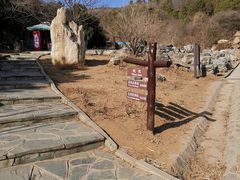 -北京西山国家森林公园