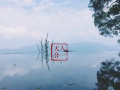 -大埔公路-马料水段香港中文大学(公交站)