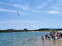 -海驴岛(荣成市)