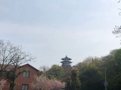-湖鲜楼