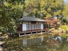 -新洲生态园