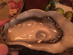 -斯普汇生蚝牛排馆(中骏世界城店)