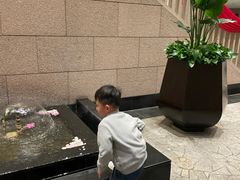 -苏州吴宫泛太平洋酒店