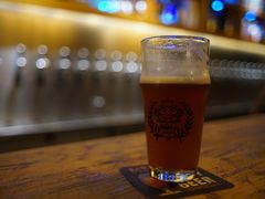 -麦落精酿啤酒餐吧(先农大院店)