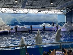 -秦皇岛乐岛海洋王国