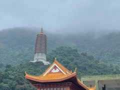 -深圳仙湖植物园