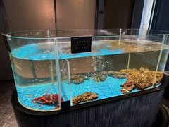 -徐记海鲜(南油永新汇店)