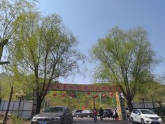 -可心烤鱼