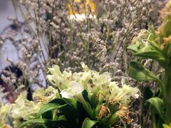 -猫的天空之城概念书店(杭州南宋御街店)