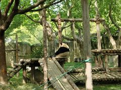 -上海野生动物园