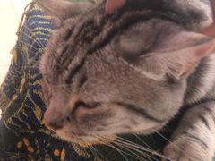 -平行世界·猫咖(首经贸店)
