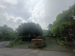 -火炉山森林公园