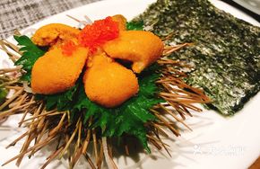 Cloud Dan Sea Urchin