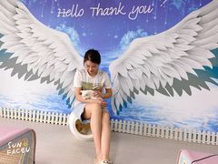 -喵百万·布偶·蓝金金渐层英短·猫舍(百子湾店)