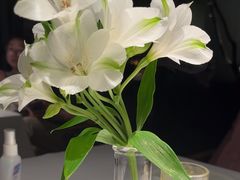 -月芽·自由餐厅·西溪湿地餐厅