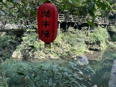 -石台牯牛降景区