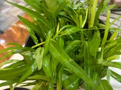 -福合埕牛肉丸(福平路店)