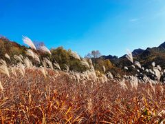 -玉渡山自然风景区