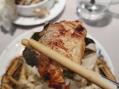 石锅黄鱼-保定会馆(红旗大街店)