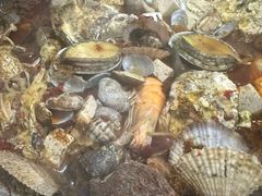 -富临港·蒸汽海鲜·手抓海鲜·炒菜(栈桥店)