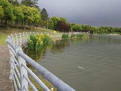 -美兰湖景区