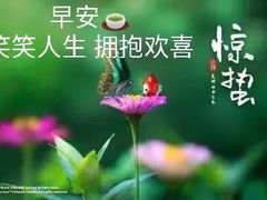 -芬芳甜品(东风西路店)