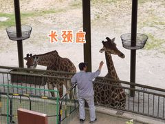 -安徽大青山野生动物世界