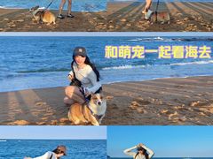 -日照海滨国家森林公园