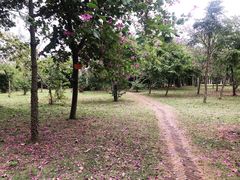 -白沙门生态公园