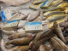 -福来齐·鲁菜海鲜·渔家菜(朝阳街分店)