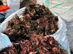 -李村大集