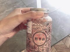 -野萃山·潮汕厚果汁(十亩地店)