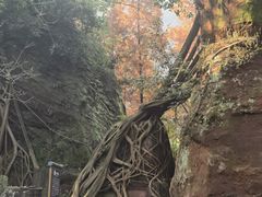 -青岩寺风景区