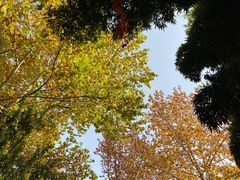 -春晖园度假酒店温泉