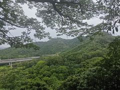 -大屏嶂森林公园